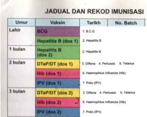 Read more about the article Panduan Mengisi Maklumat Sejarah Imunisasi Anak