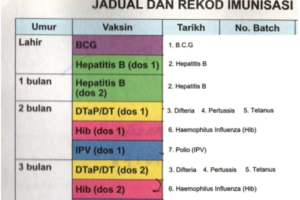 Panduan Mengisi Maklumat Sejarah Imunisasi Anak